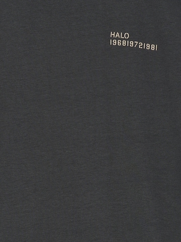 HALO Shirt in Grijs
