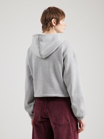 ABOUT YOU Zip-Up Hoodie 'Christina' in Grey
