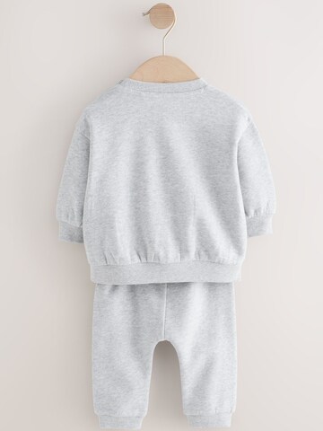 Trening de la Next pe gri