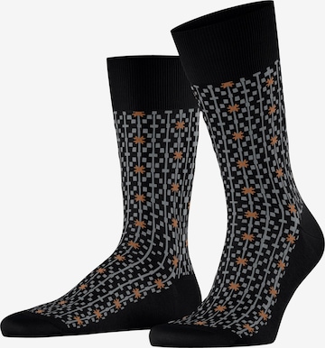 FALKE Socken 'Sun Touch' in Schwarz: Vorderseite