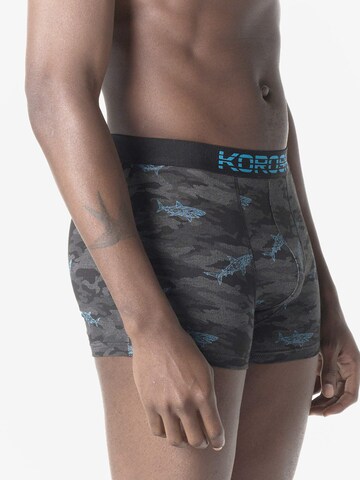 Boxeri de la KOROSHI pe gri