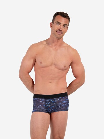 Boxers ' Star Island ' HOM en bleu : devant