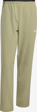 ADIDAS TERREX Outdoor Pants 'Multi Liteflex' in Green: front