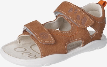 RICOSTA Sandals & Slippers in Brown: front