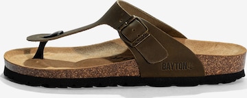 BaytonJapanke 'MERCURE' - zelena boja: prednji dio