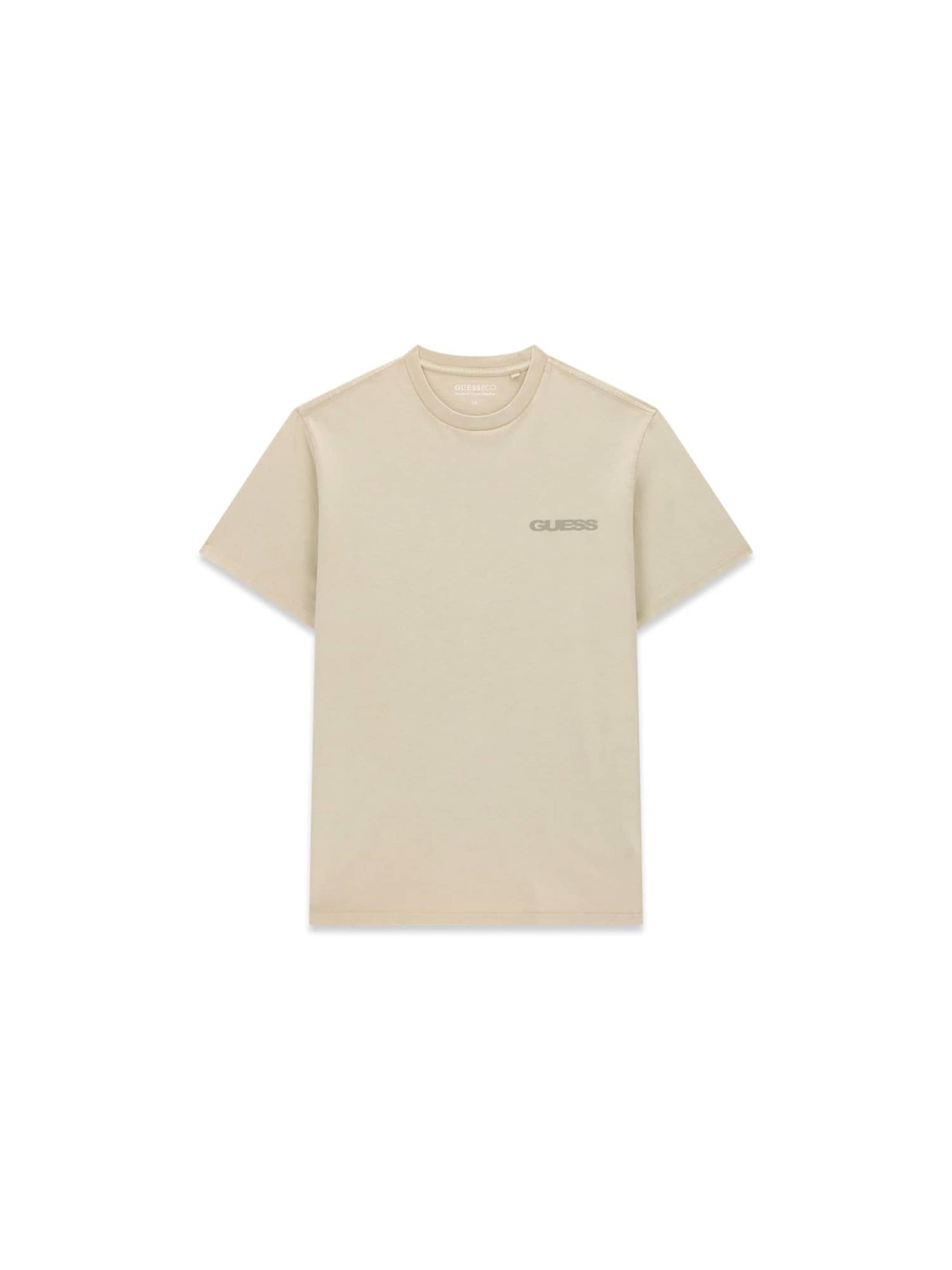 GUESS T-Shirt in Grau: Vorderseite