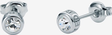 Ted Baker Oorbellen 'SINEE' in Zilver: voorkant