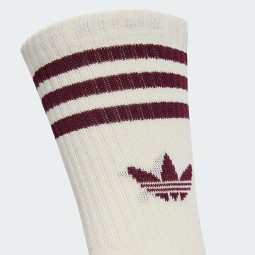 ADIDAS ORIGINALS Socks in Brown