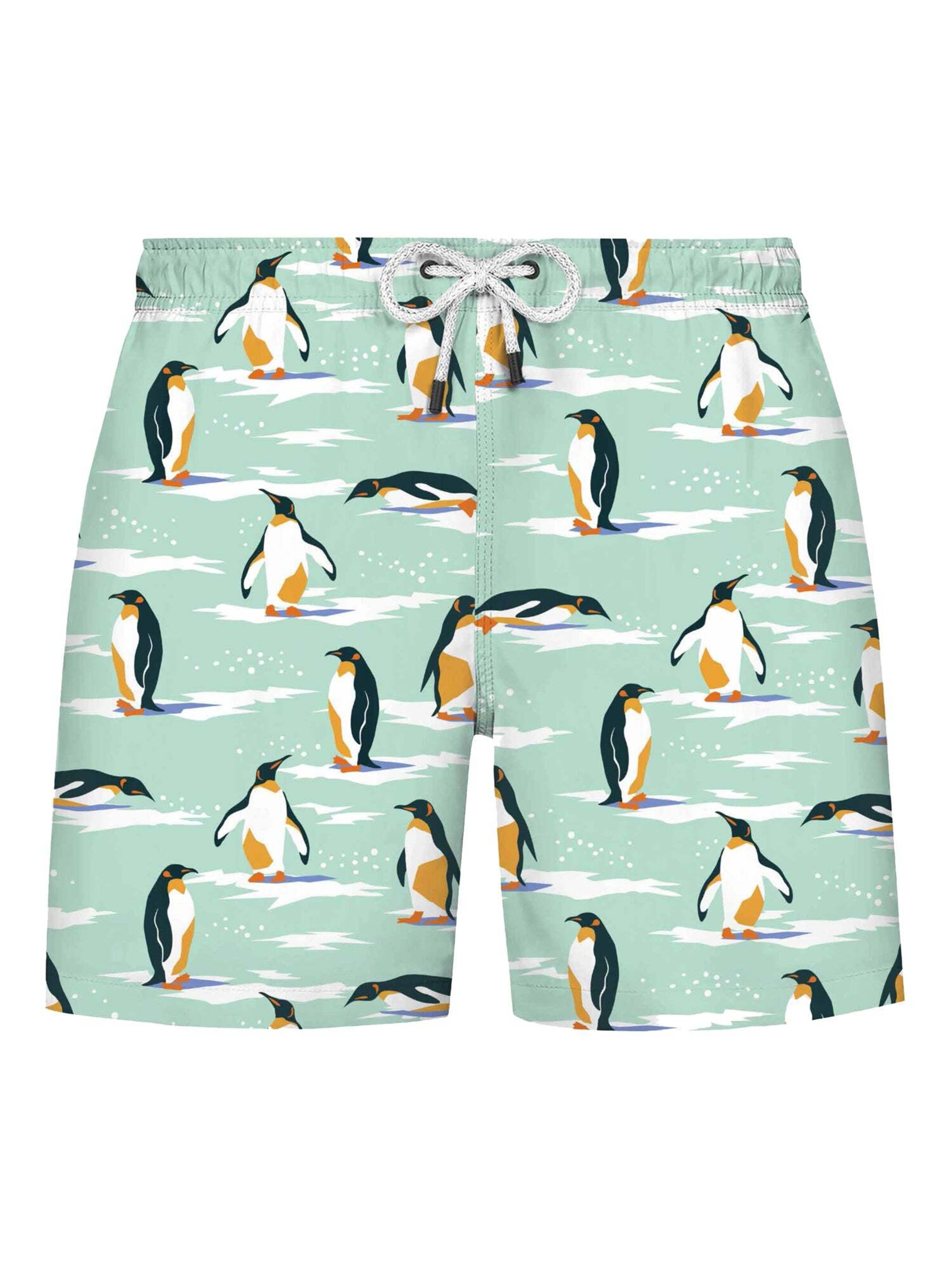Shorts de bain WESTMARK LONDON en vert : devant