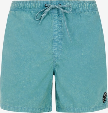 PROTEST Board Shorts 'PRTRaptor' in Green