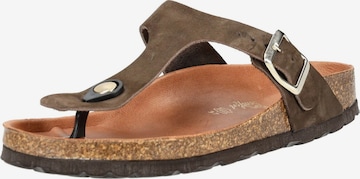 COSMOS COMFORT T-bar sandals in Brown: front