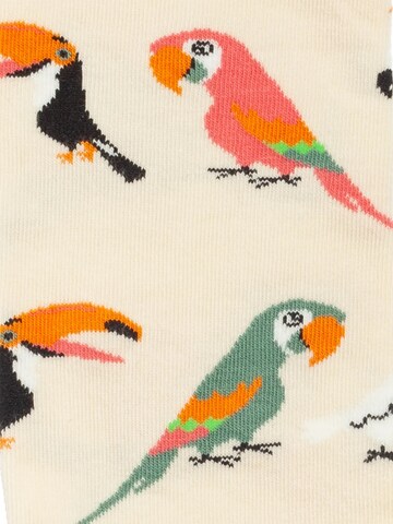 DillySocks Socken 'Precious Pets' in Mischfarben