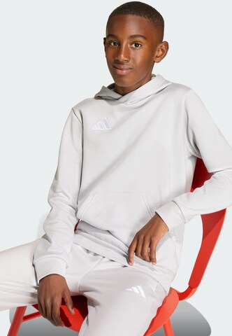 ADIDAS PERFORMANCE - Camiseta deportiva 'Entrada26' en gris