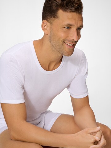Ammann Shirt ' Organic Doppelripp ' in White