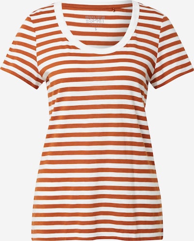 ESPRIT T-Shirt in orangerot / weiß, Produktansicht