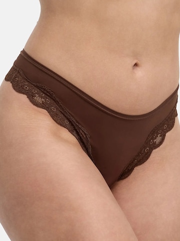 String 'Lace Tanga' cfab (formerly creamy fabrics) en marron