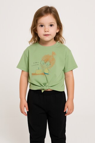 T-Shirt Panço en vert : devant