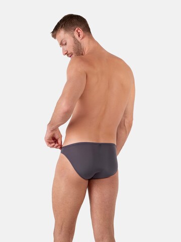 HOM Panty ' Plumes ' in Grey