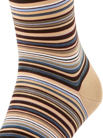 FALKE Knee High Socks 'Microblock' in Brown