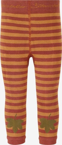 STERNTALER Socken in Orange: predná strana