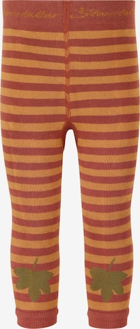 STERNTALER Socken in Orange: predná strana