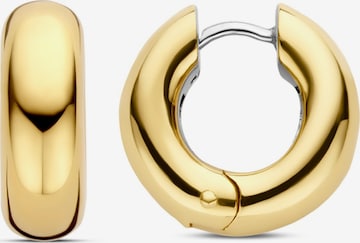 Ti Sento Milano Earrings in Gold