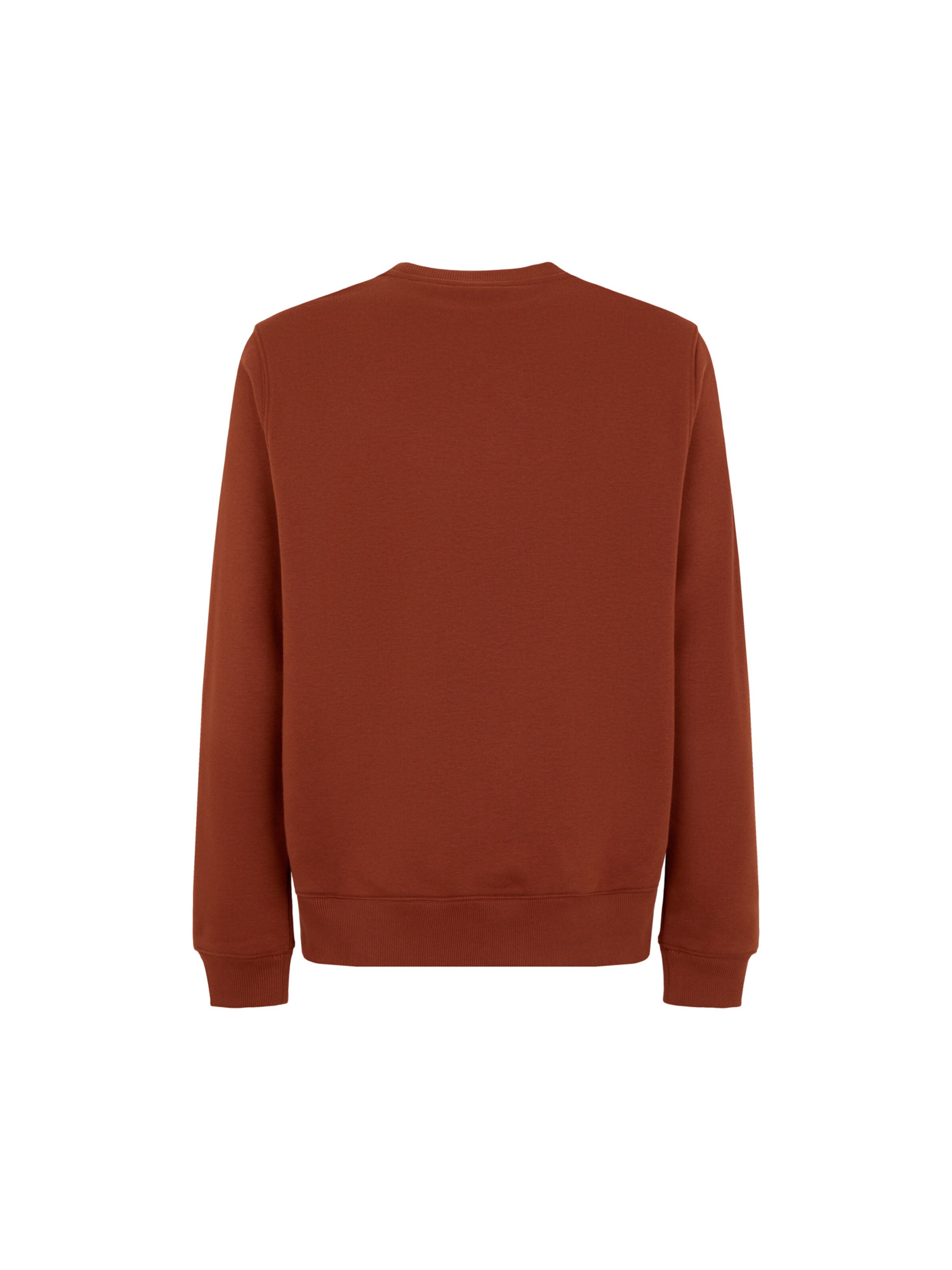 DICKIES Sweatshirt 'Oakport' in Braun