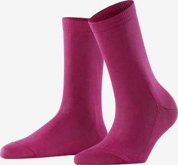 FALKE Socks 'Family' in Purple: front