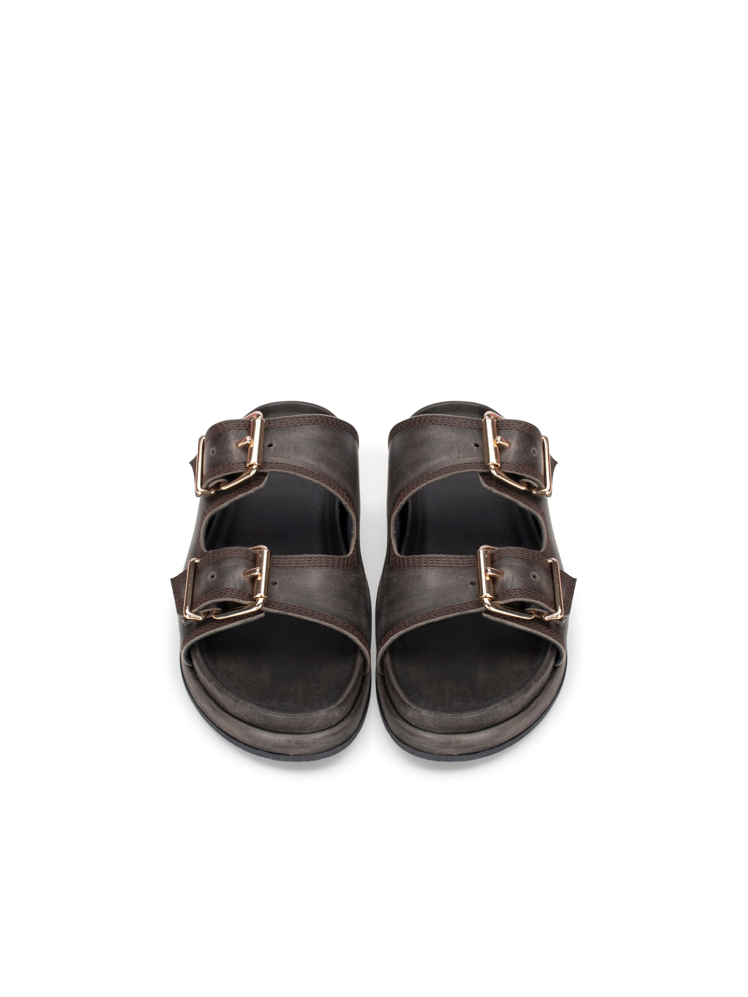 Haboob Mules 'Mag' in Brown