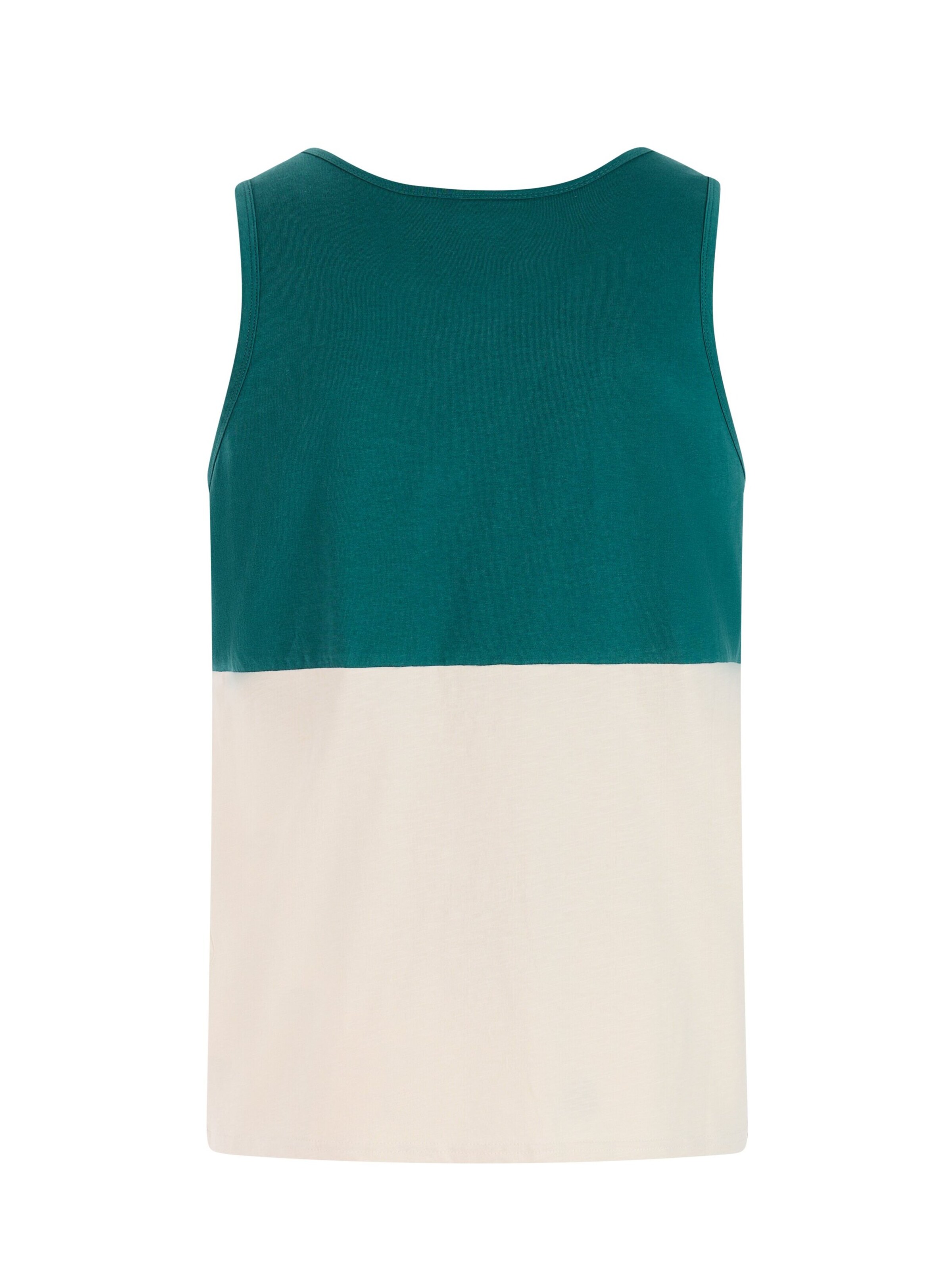 PROTEST Shirt 'PRTIspa' in Green