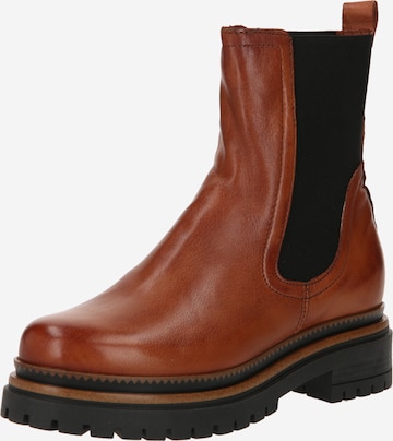 MJUS Chelsea Boots 'DEREK' in Brown: front
