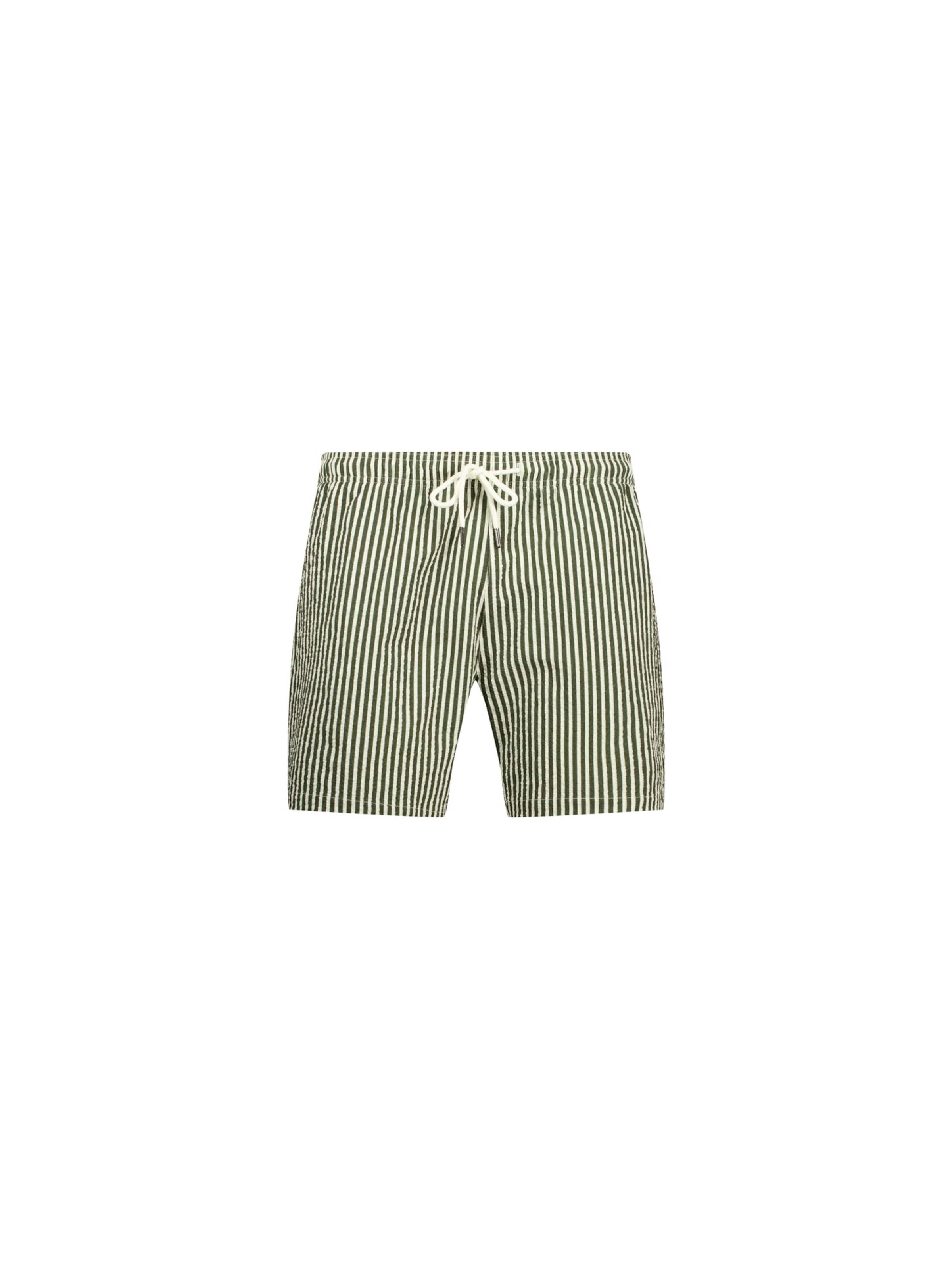 Deeluxe Board Shorts 'Pedro' in Green: front