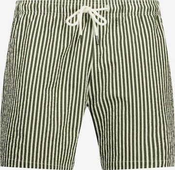 Deeluxe Board Shorts 'Pedro' in Green: front
