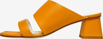 Henry Stevens Mules 'Harper DRS50' in Orange