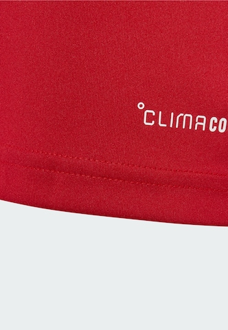 ADIDAS PERFORMANCE Performance shirt 'Entrada26' in Red