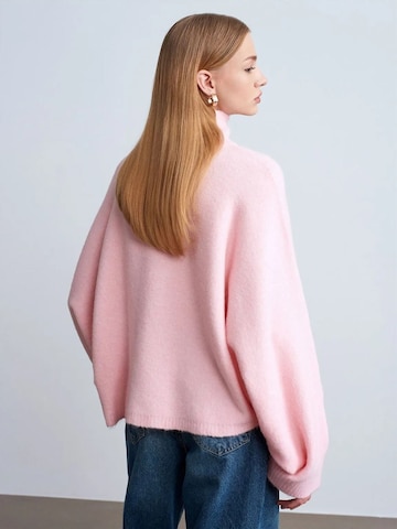 Pullover 'Pullover' di Dilvin in rosa