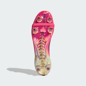 Scarpa da calcio 'Predator Elite' di ADIDAS PERFORMANCE in rosa