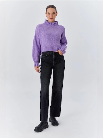 Pullover 'Pullover' di MixRay in lilla
