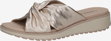 CAPRICE Mules in Gold: front