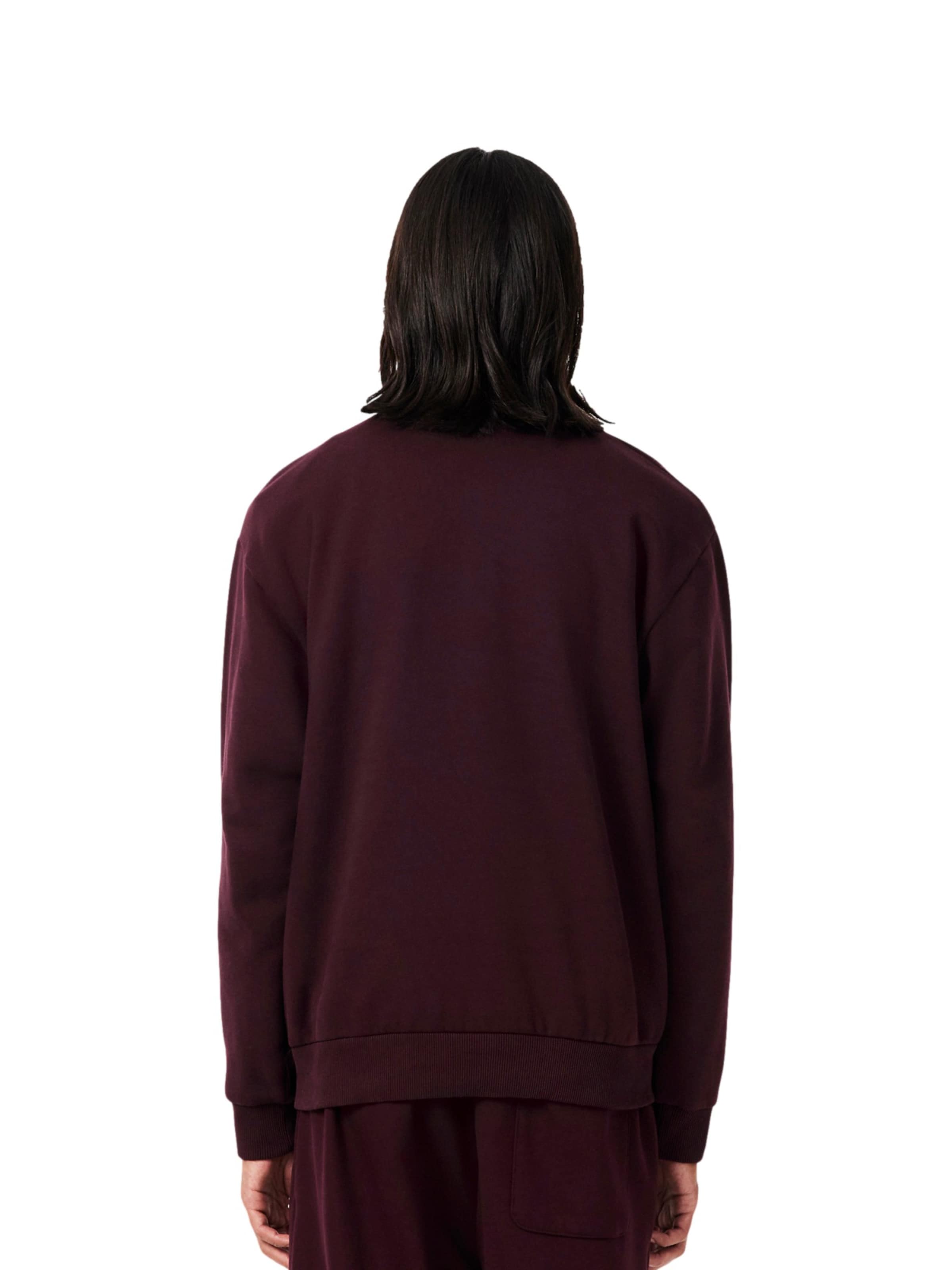 LACOSTE Sweatshirt in Braun