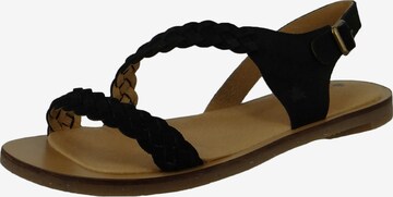 EL NATURALISTA Sandals in Black: front