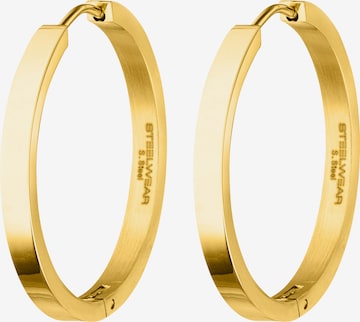 Steelwear Earrings in Gold: front