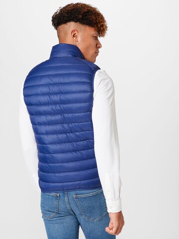 SAVE THE DUCK Bodywarmer 'Adam' in Blauw