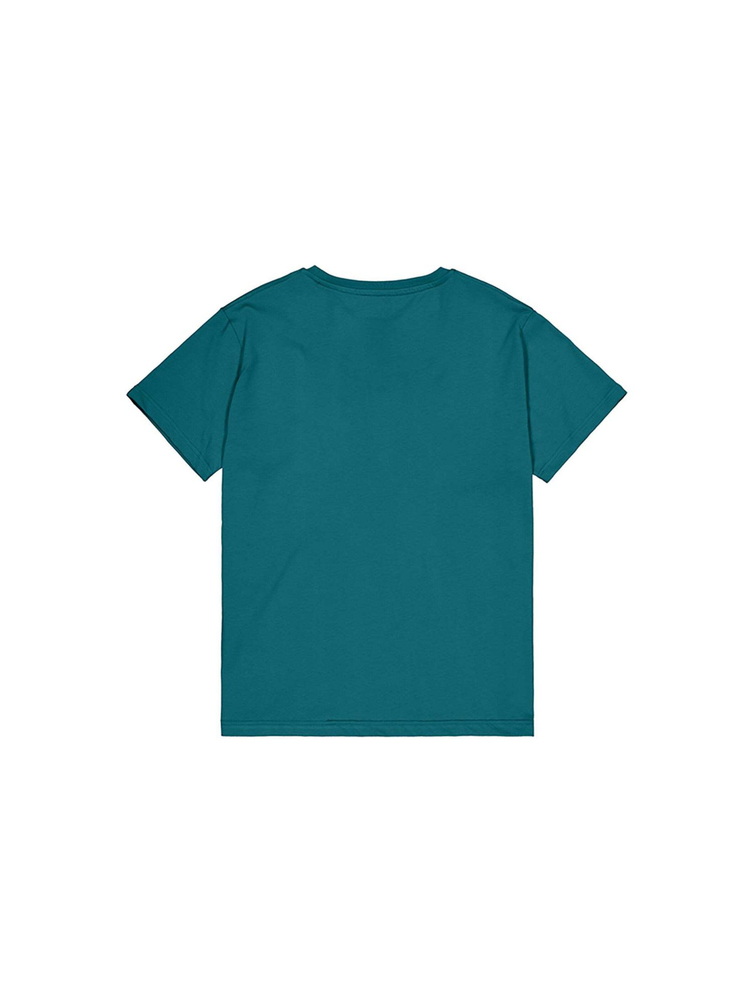 ALPHA INDUSTRIES Shirt 'Nebu' in Grün