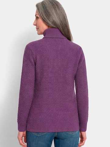Goldner Sweater in Purple