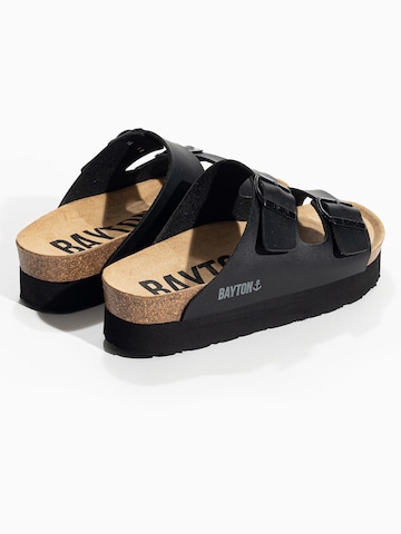 Bayton Mule 'JAPET' in Black