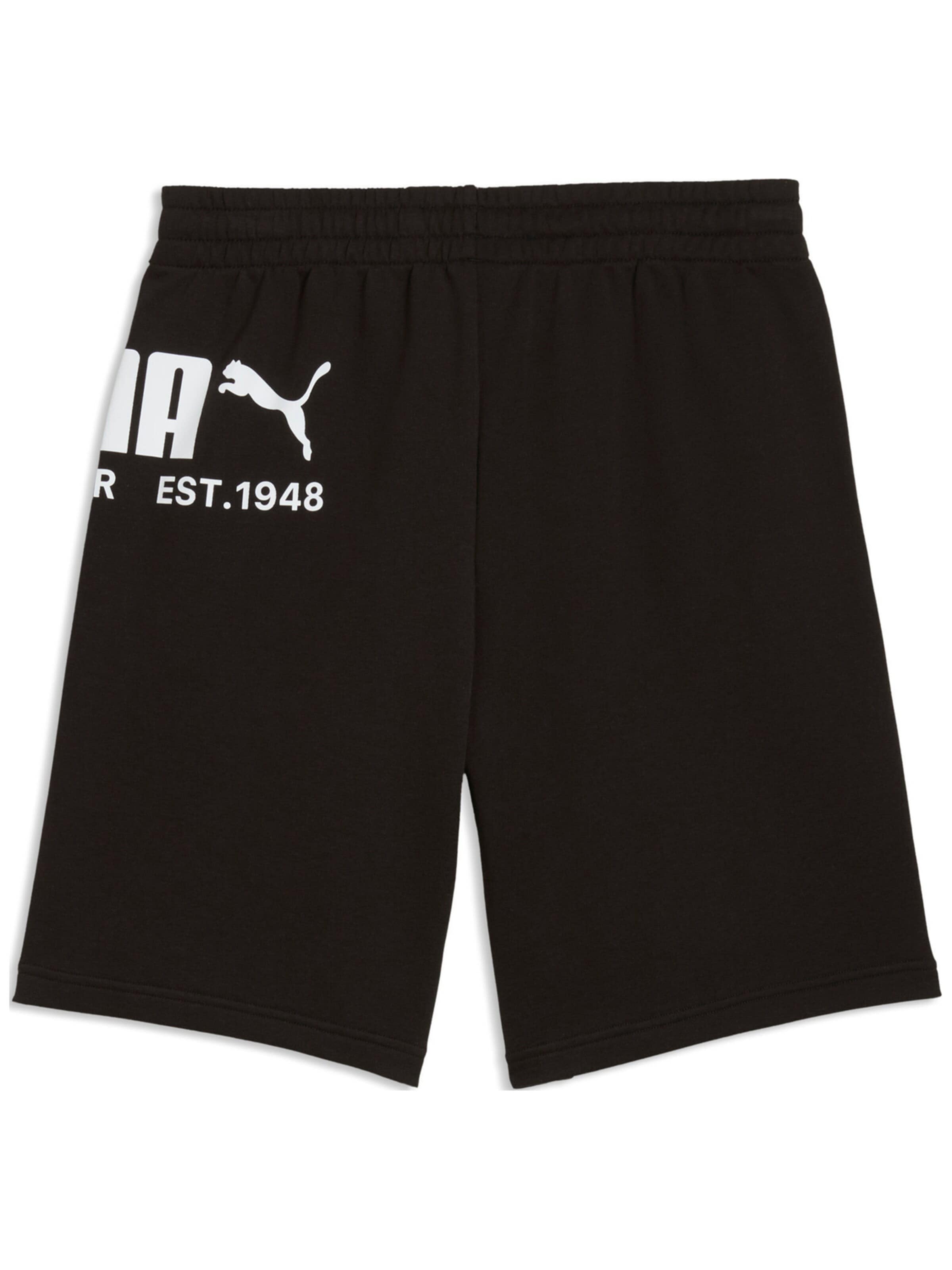 Regular Pantalon de sport 'Puma Sport Graphic Shorts Tr' PUMA en noir