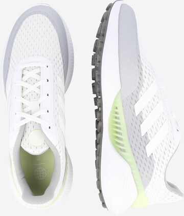 Chaussure de sport 'SUMMERVENT' ADIDAS GOLF en blanc