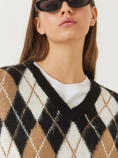 Bianco Lucci Sweater in Dark beige / Black / White, Item view