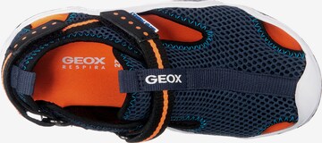 GEOX Open schoenen 'WADER ' in Blauw